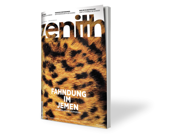 zenith 6/13: Jemen