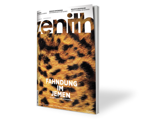 zenith 6/13: Jemen