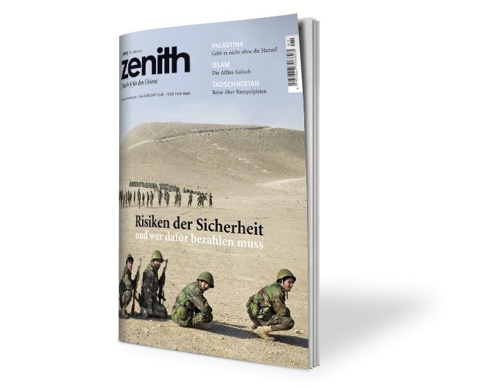 zenith 1/09: Sicherheit