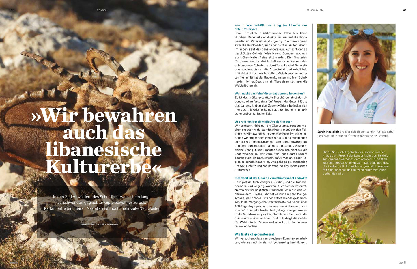 zenith 1/26: Rettet den Libanon!